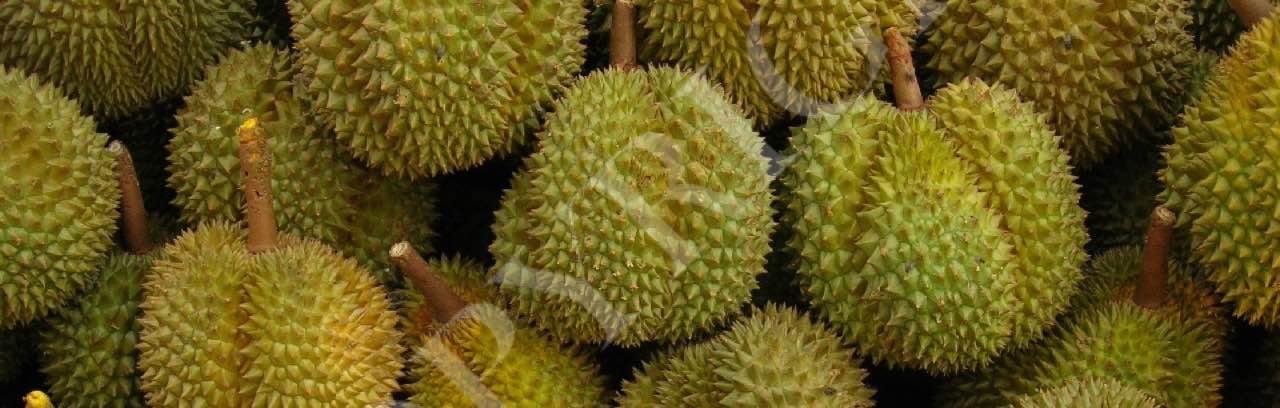 Durian