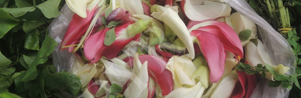 Edible Flowers