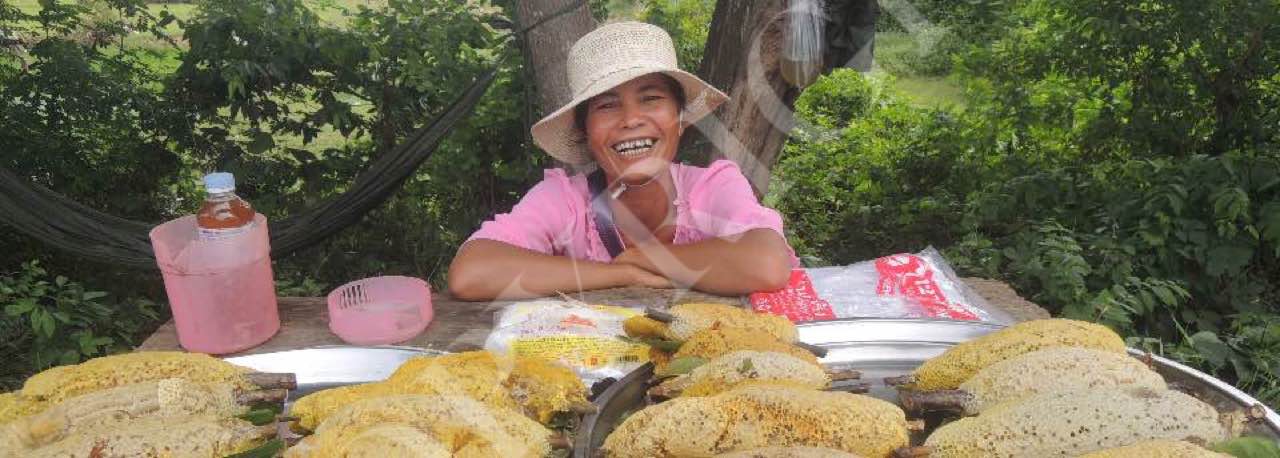 Honey and Bee Brood Vendors
