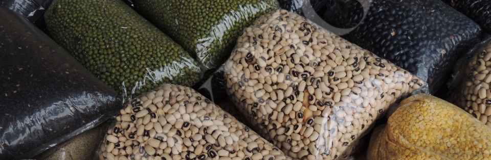 Legumes