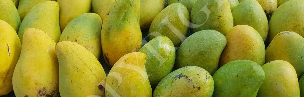 Mangoes